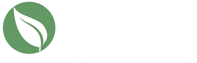 Spring Street Commons